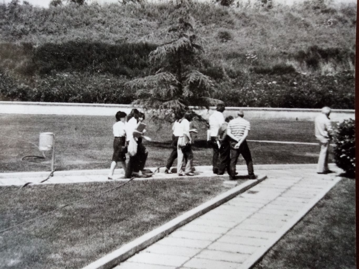 Giardini nel campus di Baronissi - 1979-1982 (Maria Teresa Panunzio)